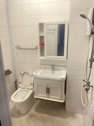 Westwood Park (D22), Terrace #481992511